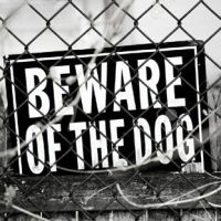 beware of dog